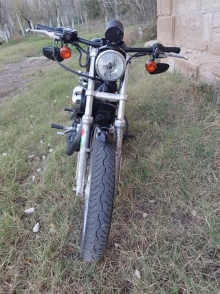 Harley Davidson 