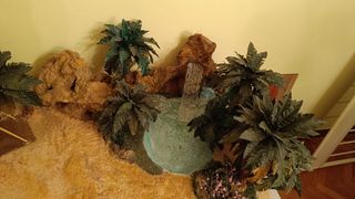 Maqueta oasis belén