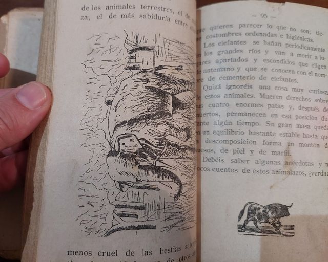 Lecturas Pedro Arnal