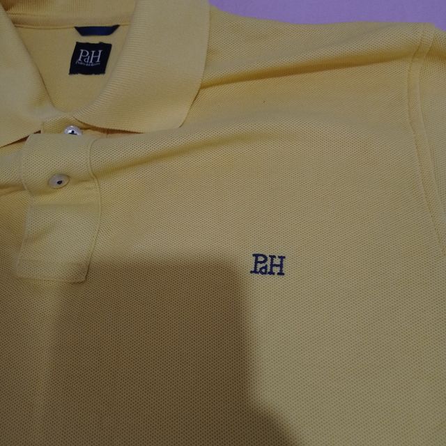 Polo pedro del hierro amarillo
