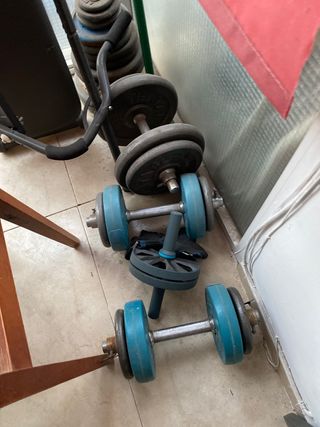 Discos y barras de pesas