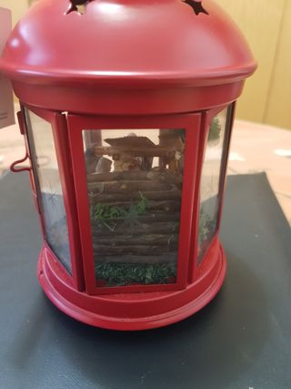 Lanterna con presepe