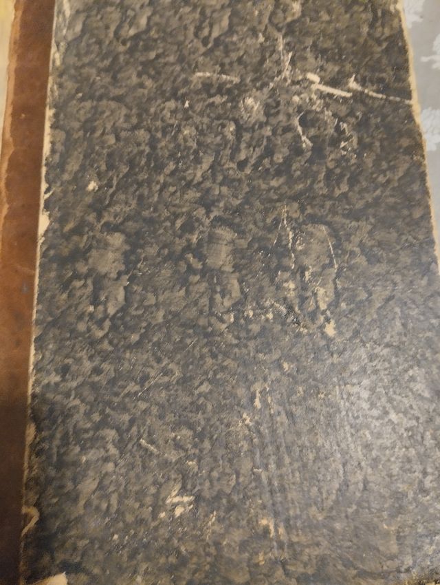 anatomia topografica 1922