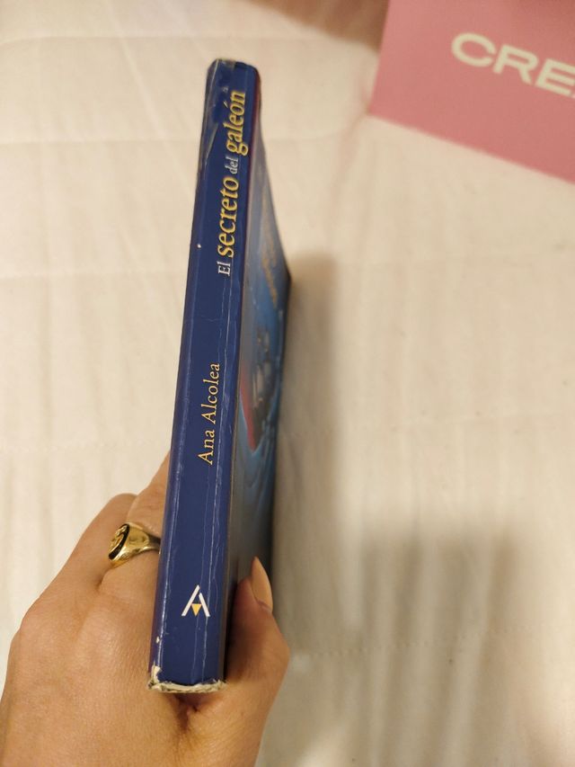 Libro el secreto del galeón