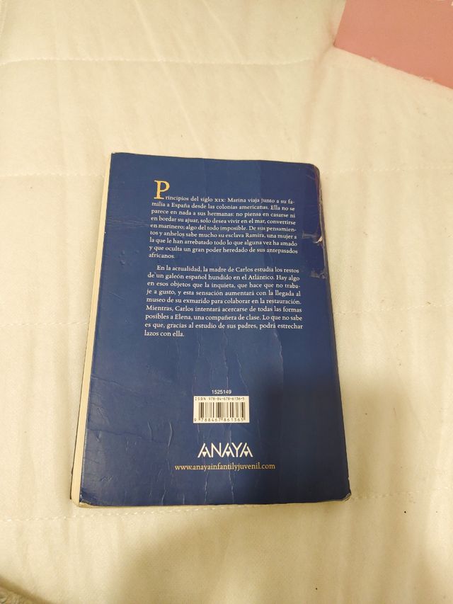 Libro el secreto del galeón