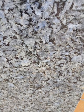 Piedra de granito azul platino pulido 
