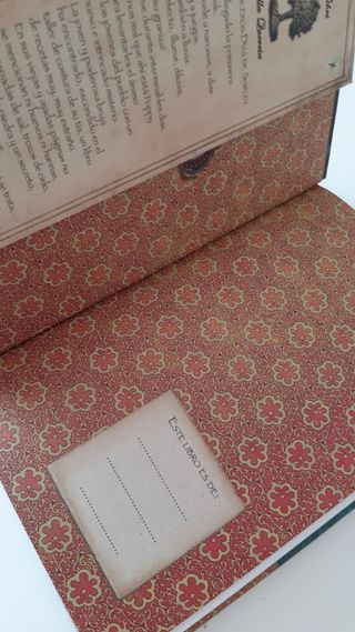 Fairy oak. Hechiceros días de Shirley