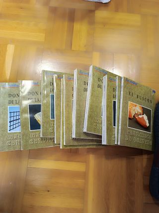 Don Quijote y otros ejemplares