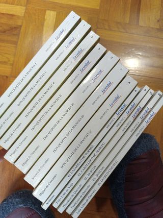 Don Quijote y otros ejemplares