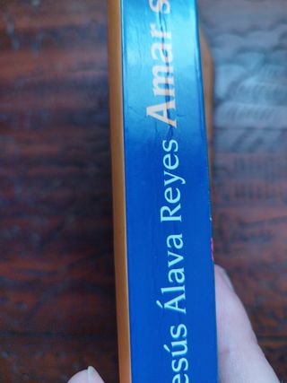 Amar sin sufrir. Libro 