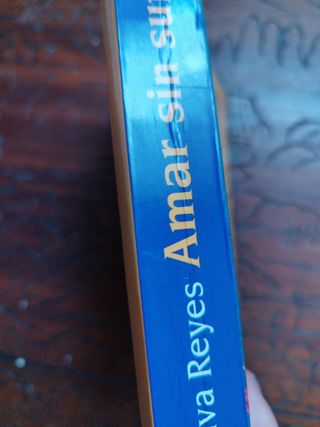 Amar sin sufrir. Libro 