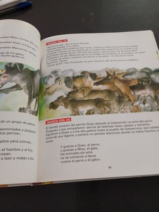 Libro de Cuentos 