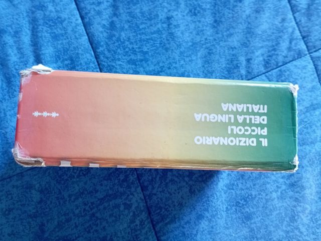 Dizionario dei piccoli