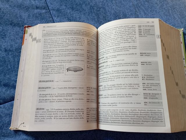 Dizionario dei piccoli