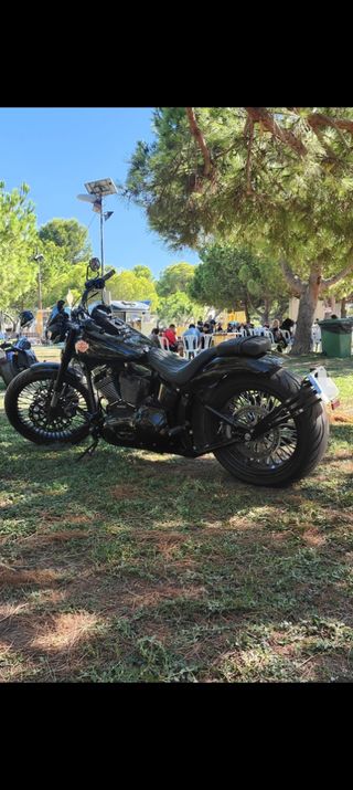Harley Davidson heritage Softail