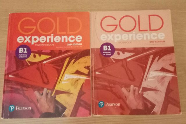 Libro inglés Gold Experience B1+cuadernillo de segunda mano por 20 EUR
