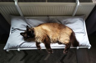 Elegante cama de radiador para gato