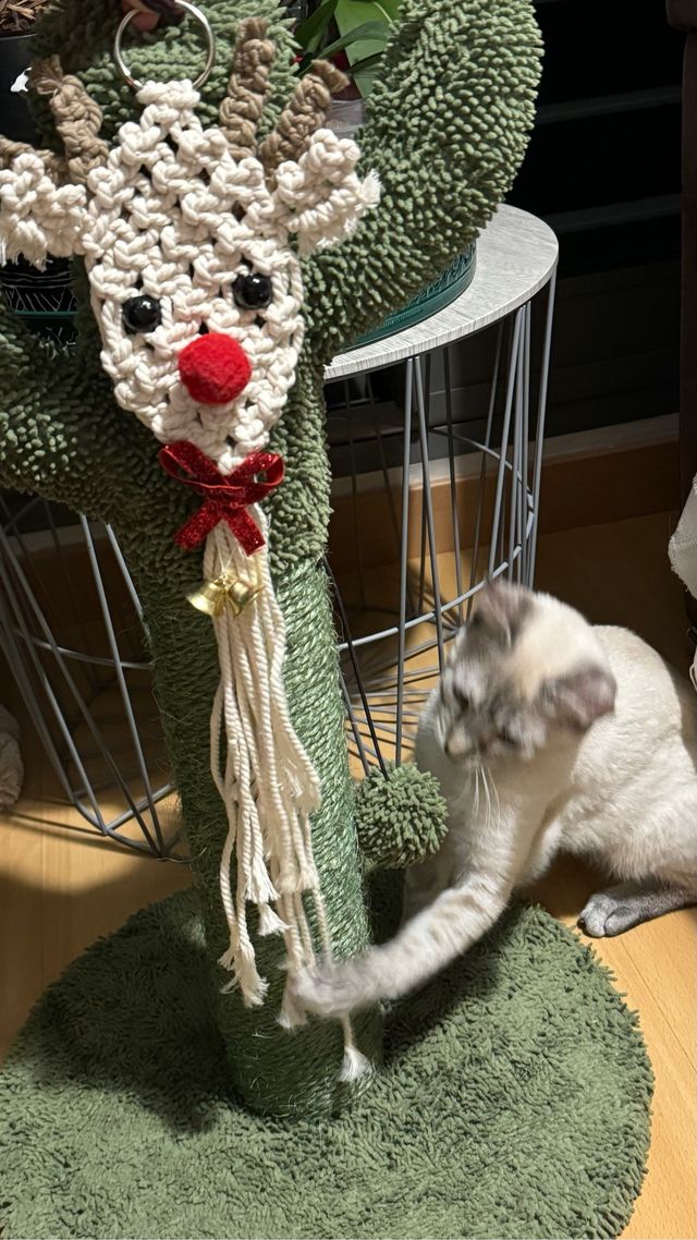 Reno macramé decoración