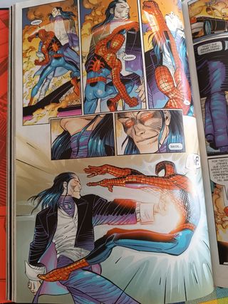 Cómics Marvel Spiderman , tapa dura