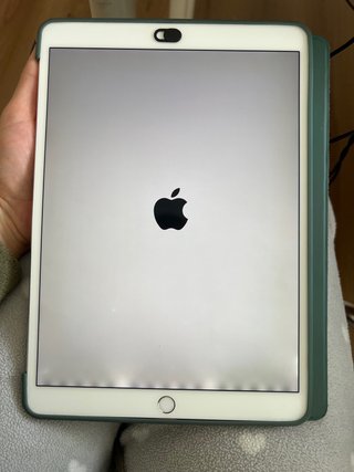 iPad Pro 10,5 2017 60gB