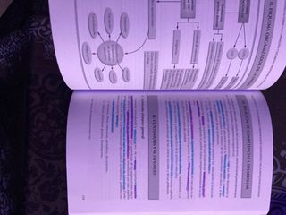 Libro UNED profesores