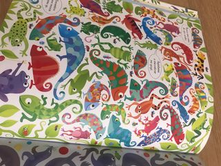 Libro busca y encuentra