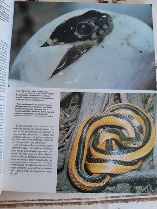 Enciclopedia sobre naturaleza.