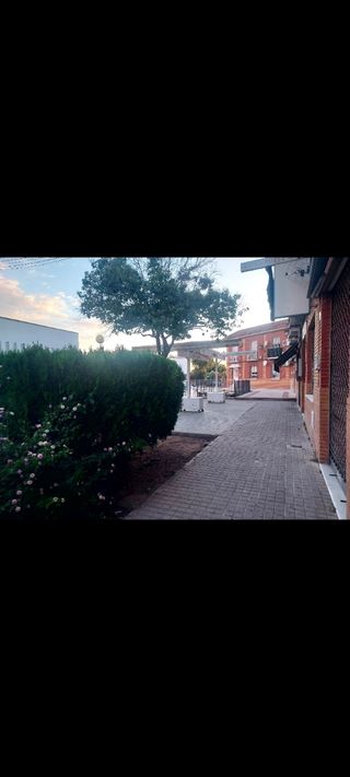 Oficina - Local en alquiler