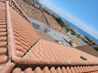 Cubiertas y tejas TLF.651429938