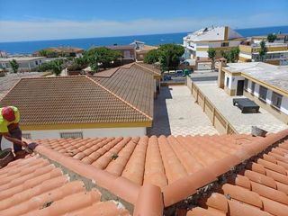 Cubiertas y tejas TLF.651429938