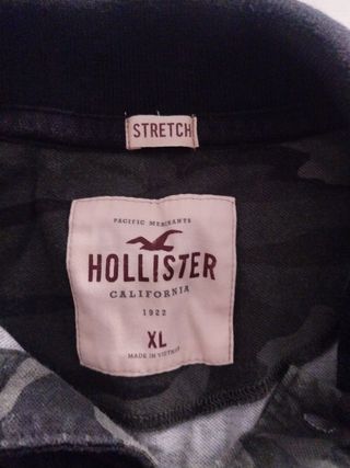 POLO HOLLISTER