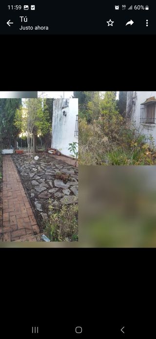 Jardinero mantenimiento o arreglo de jar