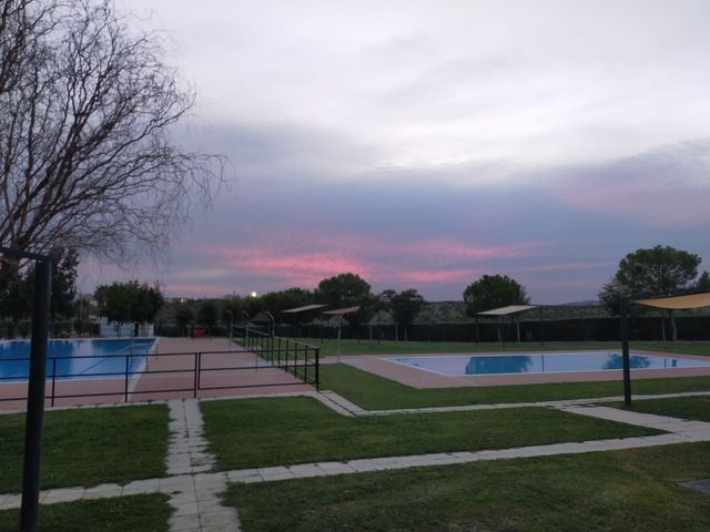 Mantenimiento de jardines y piscinas