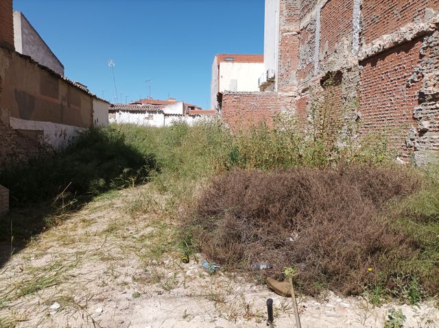 Desbroce y limpieza de parcelas