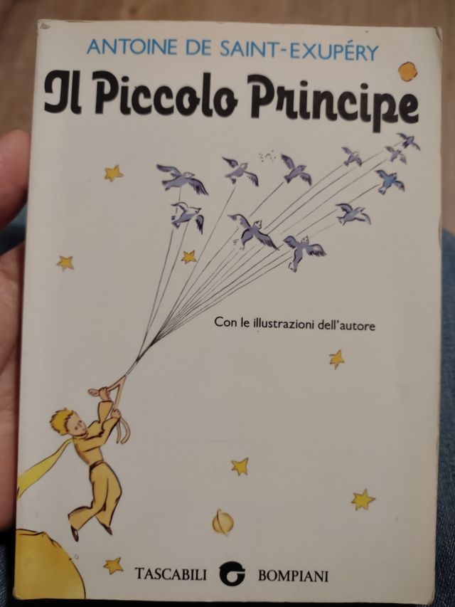 Il piccolo principe libro