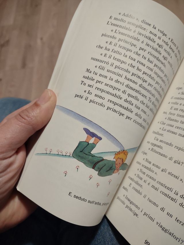 Il piccolo principe libro
