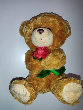 Oso de peluche Enamorado 