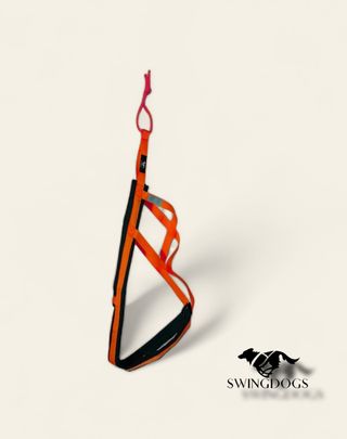 Arnes Canicross / Bikejoring 