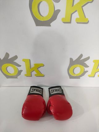 Guantes de boxeo 04456