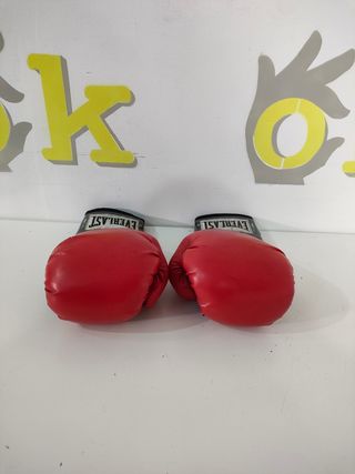 Guantes de boxeo 04456