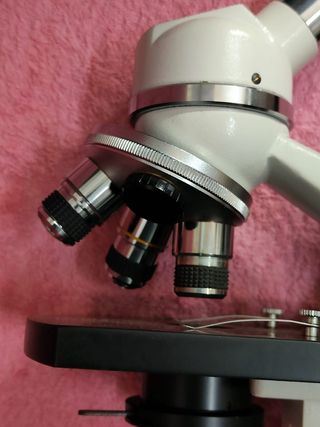 Microscopio Euromex Holland