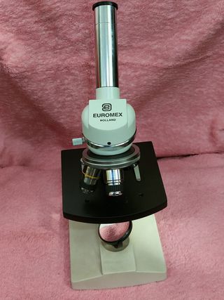 Microscopio Euromex Holland