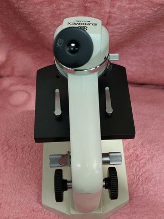 Microscopio Euromex Holland