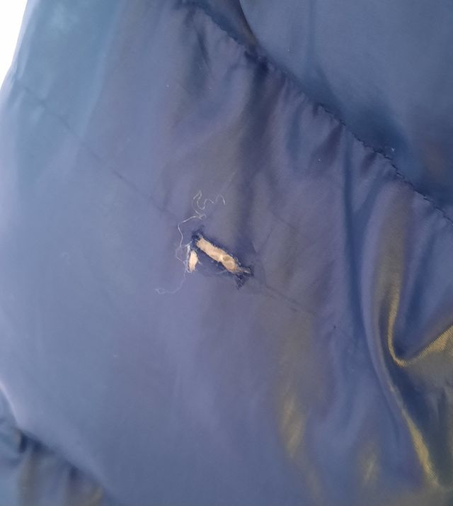 Plumas Adidas dos tonos