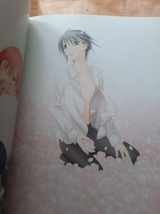 Artbook FRUIT BASKET