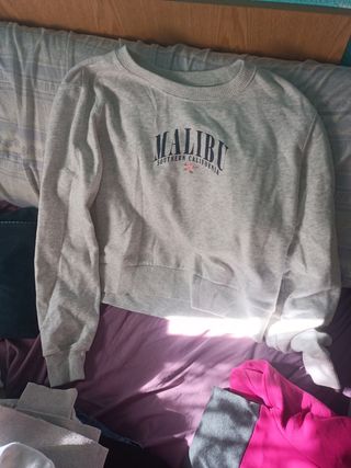 Sudadera marca hollister