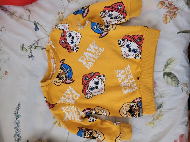 Felpa Zara taglia 2-3 anni