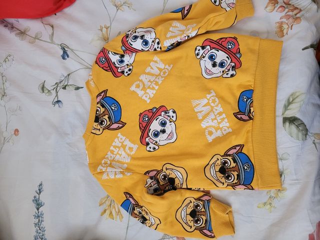 Felpa Zara taglia 2-3 anni