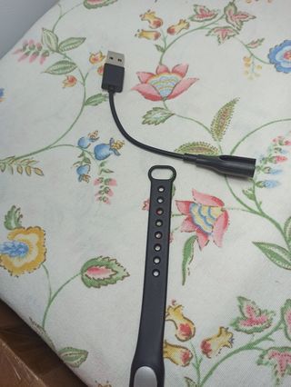 Xiaomi Mi Band XMSH03HM