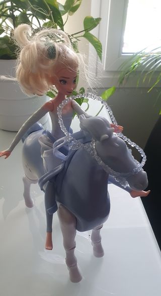 Caballo frozen